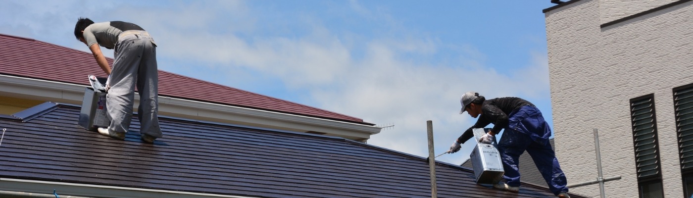 Professional Painting and Decorating Services